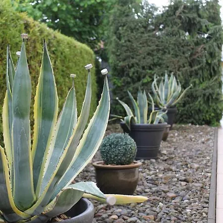 Transvaal Pensionat 3*